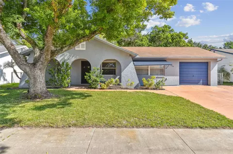 4240 Raccoon Loop, New Port Richey, FL 34653