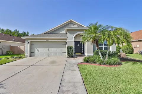 30816 Saint Vincent Ct, Wesley Chapel, FL 33543