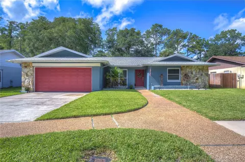 4226 Summerdale Dr, Tampa, FL 33624