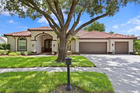 4667 Bardsdale Dr, Palm Harbor, FL 34685