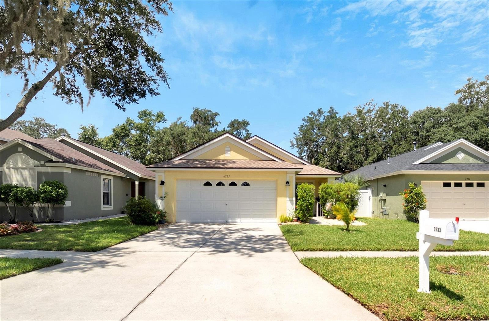 6733 Summer Haven Dr, Riverview, FL 33578 photo 1