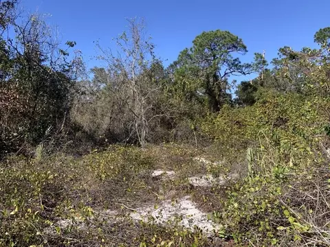 322 Bottlebrush Ave, Lake Placid, FL 33852