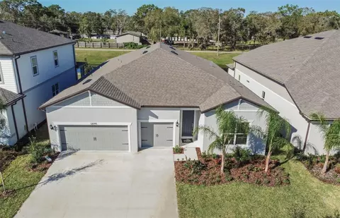 12095 Orchid Ash St, Riverview, FL 33579