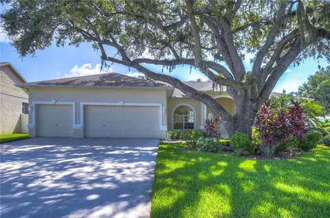 4405 Blantyre Pl, Valrico, FL 33596