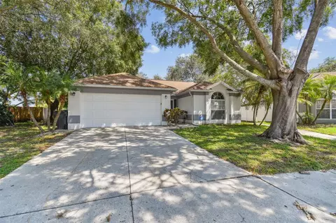 11224 Bramblebrush St, Tampa, FL 33624