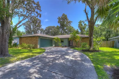 4013 Windtree Dr, Tampa, FL 33624
