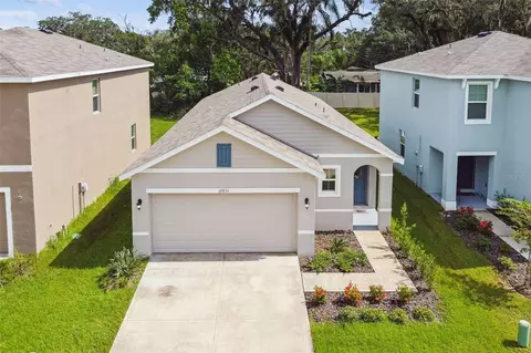 10831 Trailing Vine Dr, Tampa, FL 33610