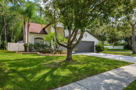 12808 Royal George Ave, Odessa, FL 33556