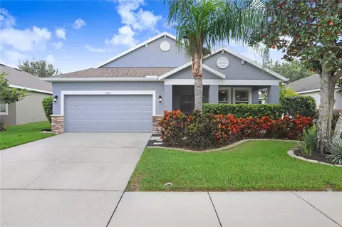 19421 Sunset Bay Dr, Land O Lakes, FL 34638