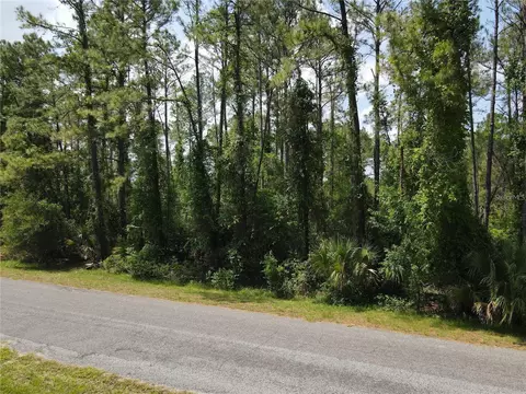 Apricot Avenue, Eustis, FL 32736
