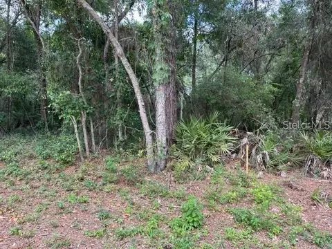 Biltmore Avenue, Webster, FL 33597