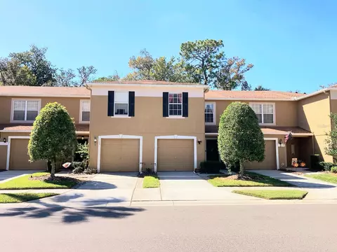 4135 Winding River Way, Land O Lakes, FL 34639