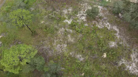 2430 S Coleman Ave, Homosassa, FL 34448