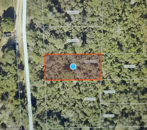Tbd Cypress Street, Paisley, FL 32767