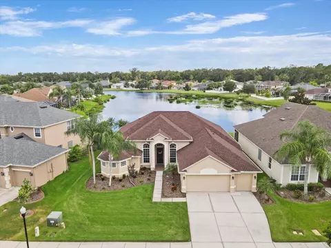26730 Shoregrass Dr, Wesley Chapel, FL 33544