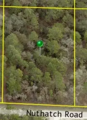 . Nuthatch Road, Weeki Wachee, FL 34614