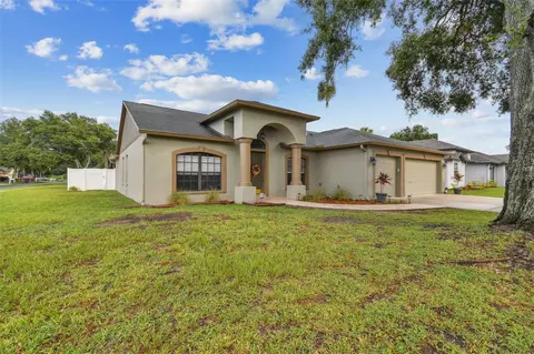 9802 La Vonda St, Riverview, FL 33569