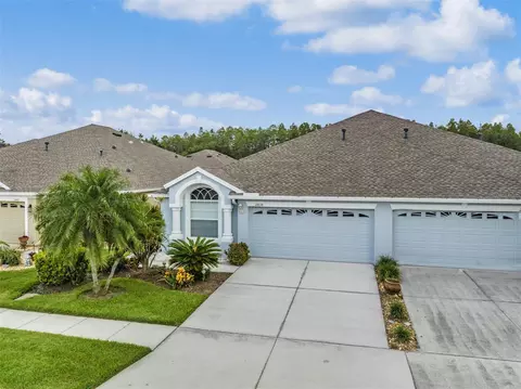 2838 Torrance Dr, Land O Lakes, FL 34638
