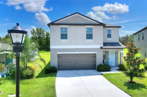 13341 Willow Bluestar Loop, Riverview, FL 33579