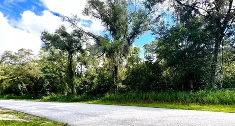 Sharon Court, Ridge Manor, FL 33523
