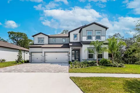 13858 Sharp Hawk Dr, Riverview, FL 33569