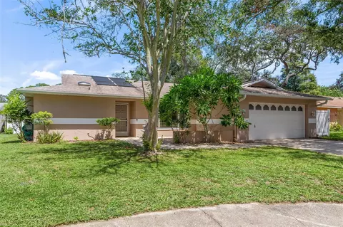 55 Harbor Oaks Cir, Safety Harbor, FL 34695