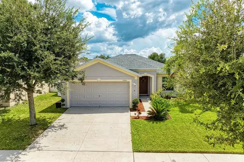 11535 Ashton Field Ave, Riverview, FL 33579