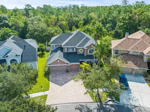 11668 Renaissance View Ct, Tampa, FL 33626