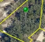 . Milgate Court, Weeki Wachee, FL 34614