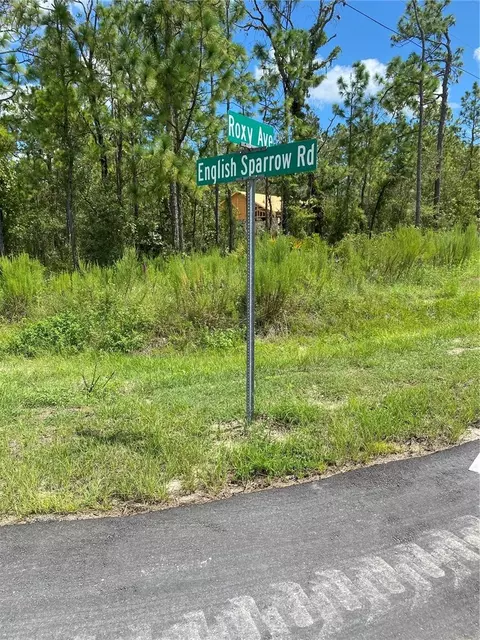 13181 Roxy Ave, Weeki Wachee, FL 34614