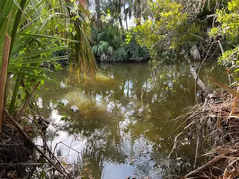 Lot 63 Basket Street, North Port, FL 34288