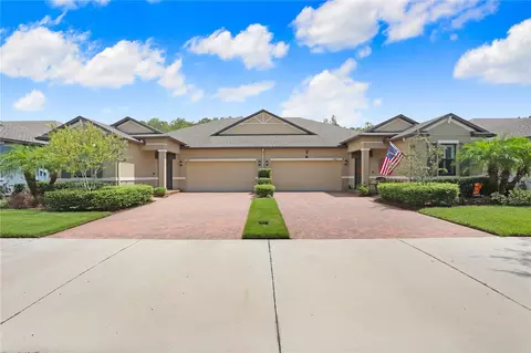 17006 Balance Cv, Land O Lakes, FL 34638