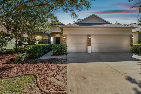 19215 Pelican Ridge Ln, Tampa, FL 33647