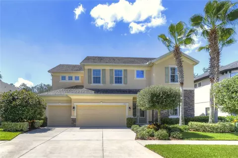 11701 Arbor Mead Ave, Riverview, FL 33569