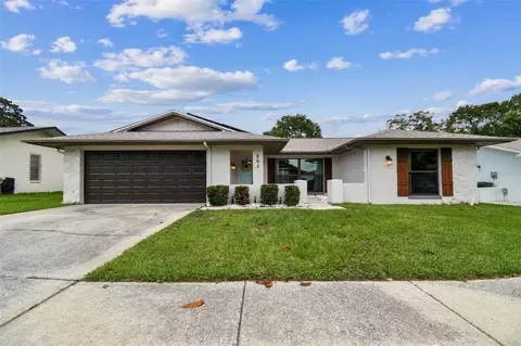 203 Nestlebranch Dr, Safety Harbor, FL 34695