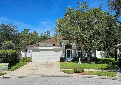 29221 Birds Eye Dr, Wesley Chapel, FL 33543