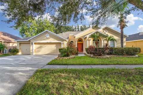 1806 Flat Branch Ct, Valrico, FL 33594