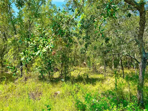 Lot 18 Limpkin Road, Brooksville, FL 34614