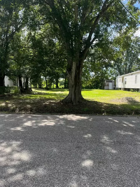 11321 Poinsettia St, Riverview, FL 33578