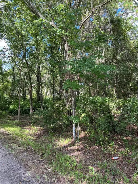 13021-31 Fuller Ave, New Port Richey, FL 34654