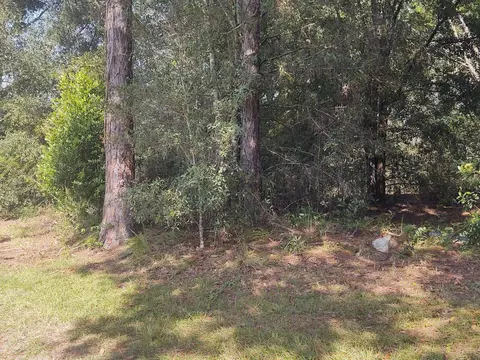 Nelson Road, Dade City, FL 33525