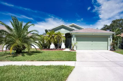 10312 Soaring Eagle Dr, Riverview, FL 33578
