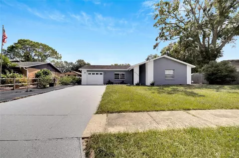 6221 Frost Dr, Tampa, FL 33625