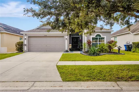 7336 Forest Mere Dr, Riverview, FL 33578