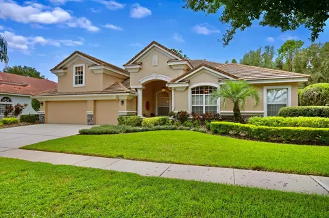 17914 Arbor Haven Dr, Tampa, FL 33647
