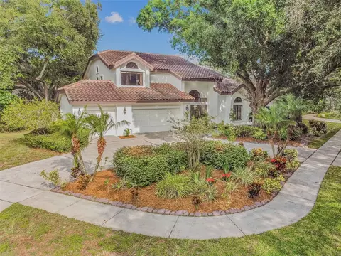 13901 Seaforth Manor Way, Tampa, FL 33613