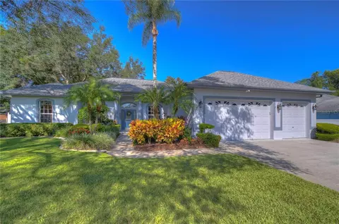 2209 Glen Mist Dr, Valrico, FL 33594