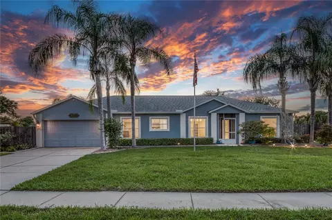 12205 Colonial Manor Pl, Riverview, FL 33579