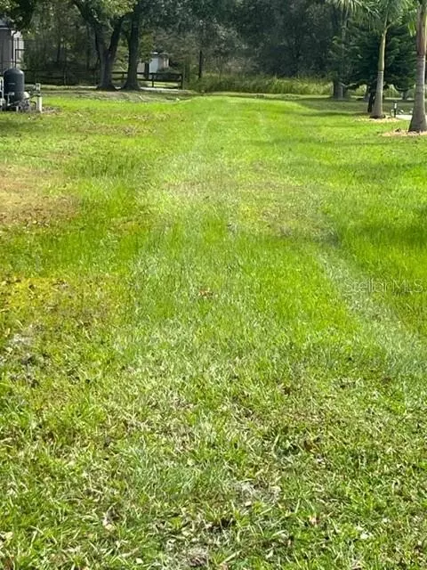 2531 Dad Weldon Rd, Dover, FL 33527