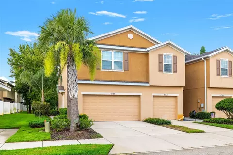 4765 White Sanderling Ct, Tampa, FL 33619